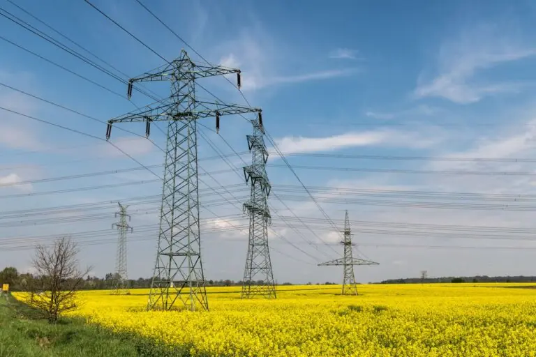 Strommasten über einem blühenden Rapsfeld vor blauem Himmel