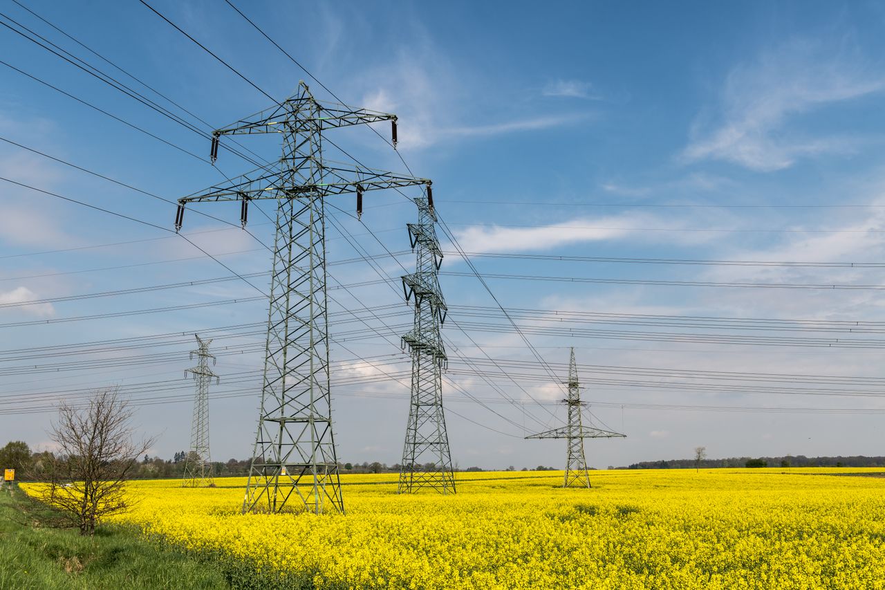 Strommasten über einem blühenden Rapsfeld vor blauem Himmel