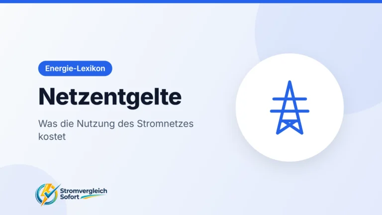 Titelgrafik Netzentgelte: Was die Nutzung des Stromnetzes kostet