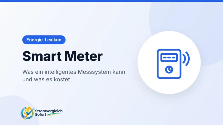 Titelgrafik Smart Meter: Was ein intelligentes Messsystem kann und was es kostet