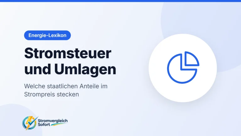 Titelgrafik Stromsteuer und Umlagen: Welche staatlichen Anteile im Strompreis stecken