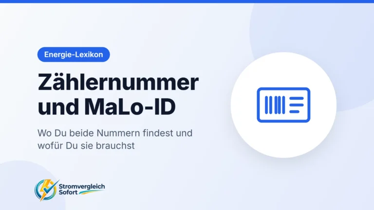 Titelgrafik Zählernummer und MaLo-ID: Wo Du beide Nummern findest und wofür Du sie brauchst